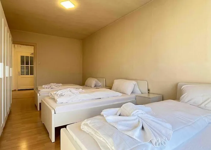 Swf121 - Gemütliche Monteurwohnung übergangswohnung Apartment